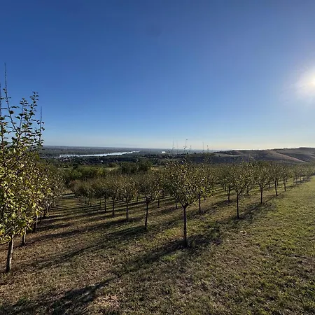 Case de vacanță Cerevicki Raj